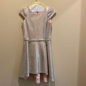 Zoe Sabine Metallic Princess Dress. Size 14. New condition.